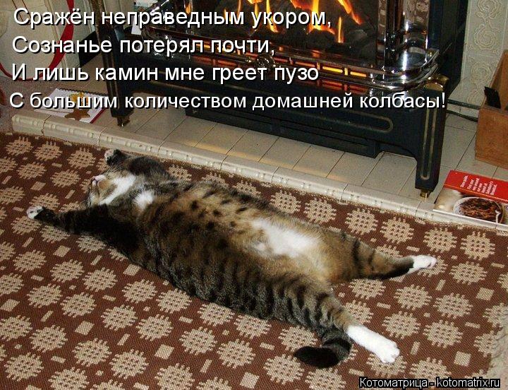 Сражён неправедным укором, Сознанье потерял почти, И лишь камин мне греет пузо С большим количеством ... Котоматрица: Сражён неправедным укором, Сознанье потерял почти, И лишь камин мне греет пузо С большим количеством домашней колбасы!