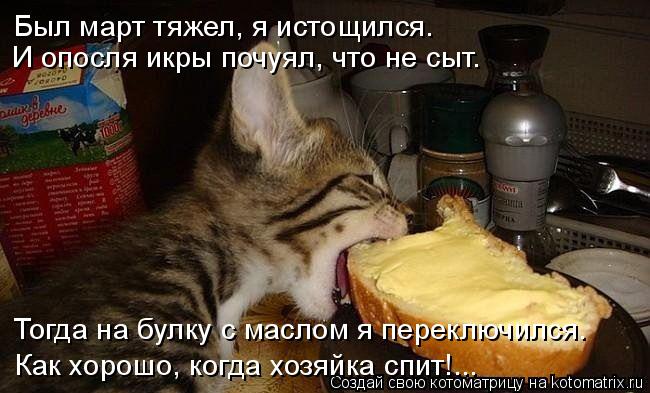 Был март тяжел, я истощился. И опосля икры почуял, что не сыт. Тогда на булку с маслом я переключился... Котоматрица: Был март тяжел, я истощился. И опосля икры почуял, что не сыт. Тогда на булку с маслом я переключился. Как хорошо, когда хозяйка спит!...