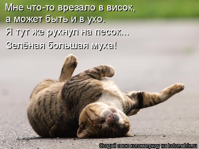 Мне что-то врезало в висок, а может быть и в ухо. Я тут же рухнул на песок... Зелёная большая муха!... Котоматрица: Мне что-то врезало в висок, а может быть и в ухо. Я тут же рухнул на песок... Зелёная большая муха!