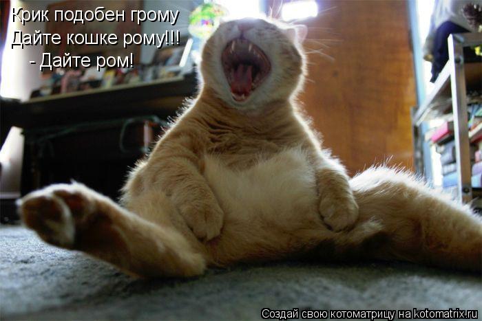 Крик подобен грому Дайте кошке рому!!! - Дайте ром!... Котоматрица: Крик подобен грому Дайте кошке рому!!! - Дайте ром!