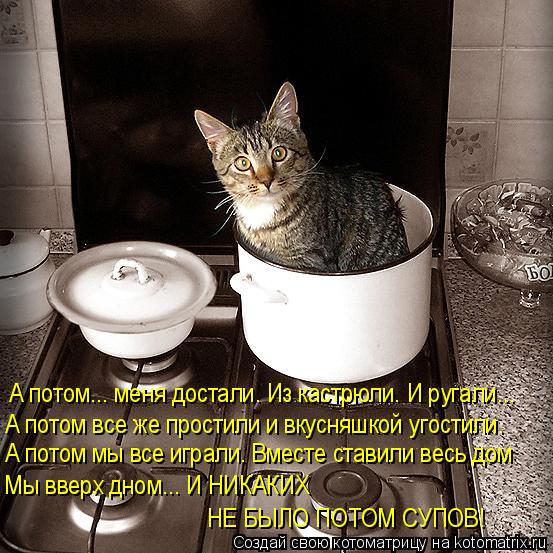 А потом... меня достали. Из кастрюли. И ругали... А потом все же простили и вкусняшкой угостили. А по... Котоматрица: А потом... меня достали. Из кастрюли. И ругали... А потом все же простили и вкусняшкой угостили. А потом мы все играли. Вместе ставили весь дом М