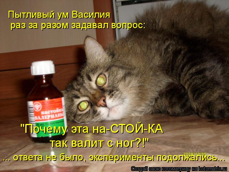 Пытливый ум Василия раз за разом задавал вопрос: "Почему эта на-СТОЙ-КА так валит с ног?!" ... ответа... Котоматрица: Пытливый ум Василия раз за разом задавал вопрос: "Почему эта на-СТОЙ-КА так валит с ног?!" ... ответа не было, эксперименты подолжались...