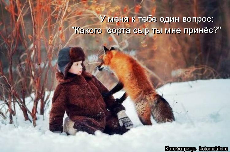 У меня к тебе один вопрос: "Какого сорта сыр ты мне принёс?"... Котоматрица: У меня к тебе один вопрос: "Какого сорта сыр ты мне принёс?"