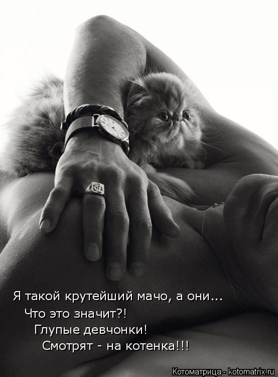 Котоматрица: Я такой крутейший мачо, а они... Что это значит?! Глупые девчонки! Смотрят - на котенка!!!