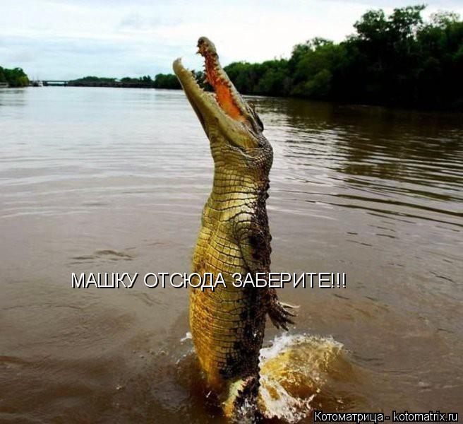 МАШКУ ОТСЮДА ЗАБЕРИТЕ!!!... Котоматрица: МАШКУ ОТСЮДА ЗАБЕРИТЕ!!!