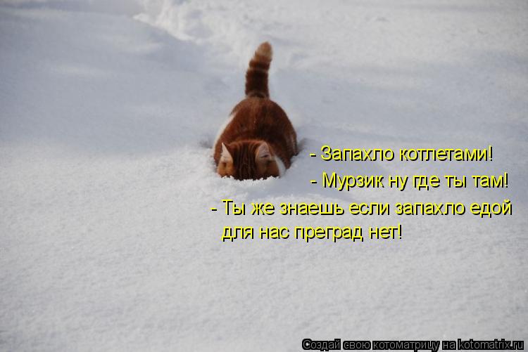 Котоматрица: - Запахло котлетами! - Мурзик ну где ты там! - Ты же знаешь если запахло едой  для нас преград нет!