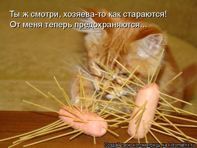 Ты ж смотри, хозяева-то как стараются! От меня теперь предохраняются...... Котоматрица: Ты ж смотри, хозяева-то как стараются! От меня теперь предохраняются...