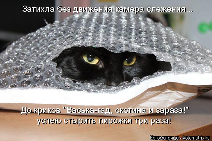 Затихла без движения камера слежения... До криков "Васька-гад, скотина и зараза!" успею стырить пирож... Котоматрица: Затихла без движения камера слежения... До криков "Васька-гад, скотина и зараза!" успею стырить пирожки три раза!