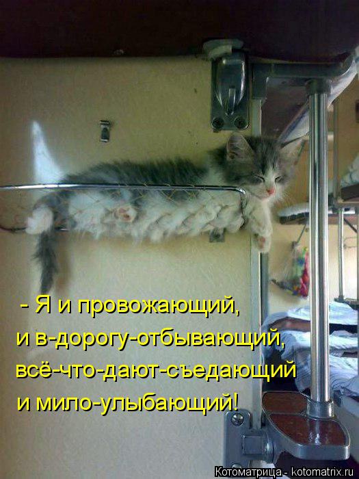 - Я и провожающий, всё-что-дают-съедающий и в-дорогу-отбывающий, и мило-улыбающий!... Котоматрица: - Я и провожающий, всё-что-дают-съедающий и в-дорогу-отбывающий, и мило-улыбающий!