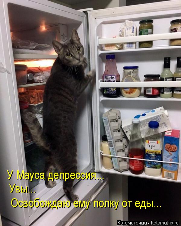 Котоматрица: У Мауса депрессия... Увы... Освобождаю ему полку от еды...