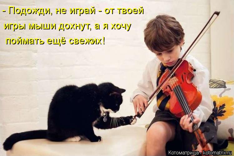 - Подожди, не играй - от твоей игры мыши дохнут, а я хочу поймать ещё свежих!... Котоматрица: - Подожди, не играй - от твоей игры мыши дохнут, а я хочу поймать ещё свежих!