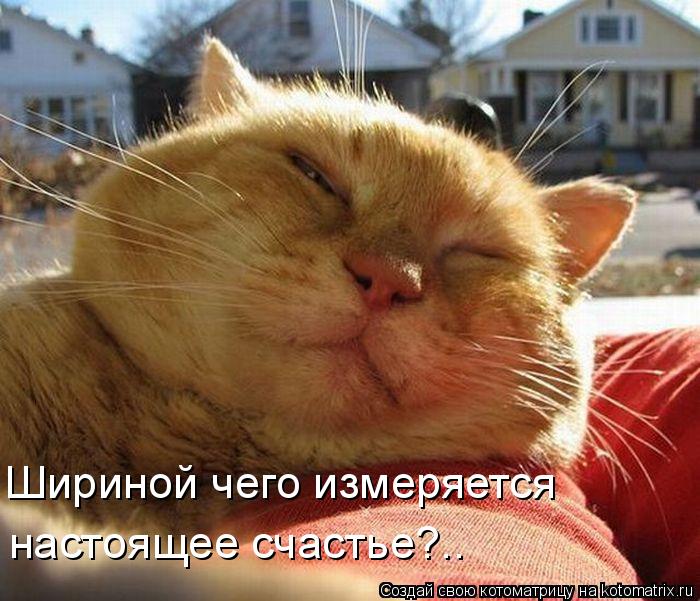 Шириной чего измеряется настоящее счастье?..... Котоматрица: Шириной чего измеряется настоящее счастье?..