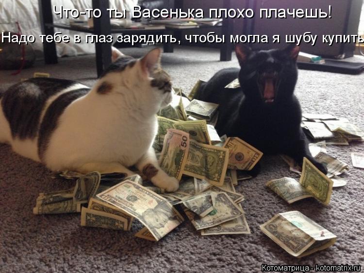 Что-то ты Васенька плохо плачешь! Надо тебе в глаз зарядить, чтобы могла я шубу купить!... Котоматрица: Что-то ты Васенька плохо плачешь! Надо тебе в глаз зарядить, чтобы могла я шубу купить!