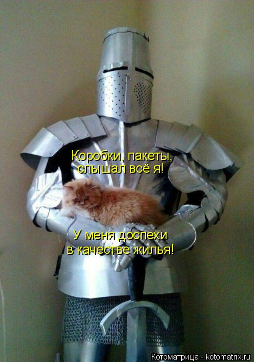 Коробки, пакеты, слышал всё я! У меня доспехи в качестве жилья!... Котоматрица: Коробки, пакеты, слышал всё я! У меня доспехи в качестве жилья!