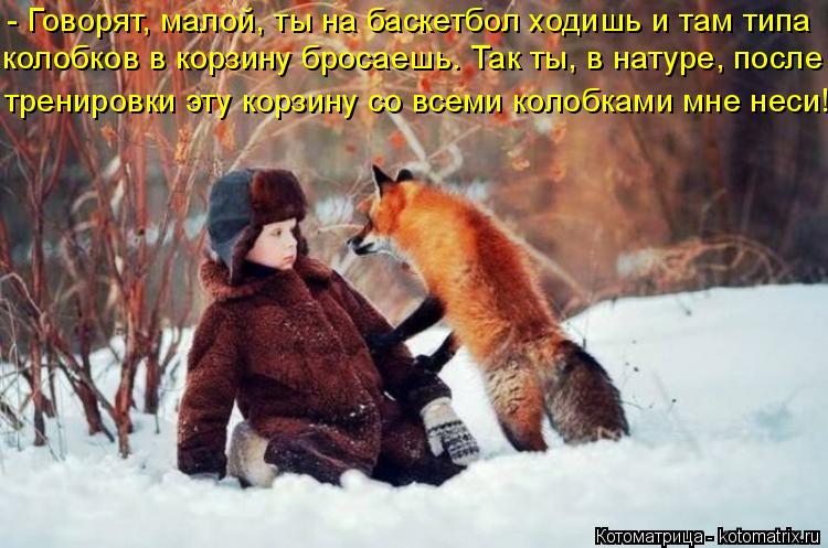 - Говорят, малой, ты на баскетбол ходишь и там типа колобков в корзину бросаешь. Так ты, в натуре, п... Котоматрица: - Говорят, малой, ты на баскетбол ходишь и там типа колобков в корзину бросаешь. Так ты, в натуре, после тренировки эту корзину со всеми коло?