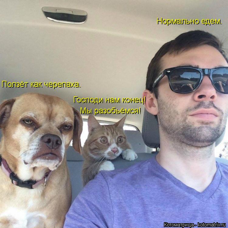 Нормально едем. Ползёт как черепаха. Господи нам конец! Мы разобьёмся!... Котоматрица: Нормально едем. Ползёт как черепаха. Господи нам конец! Мы разобьёмся!