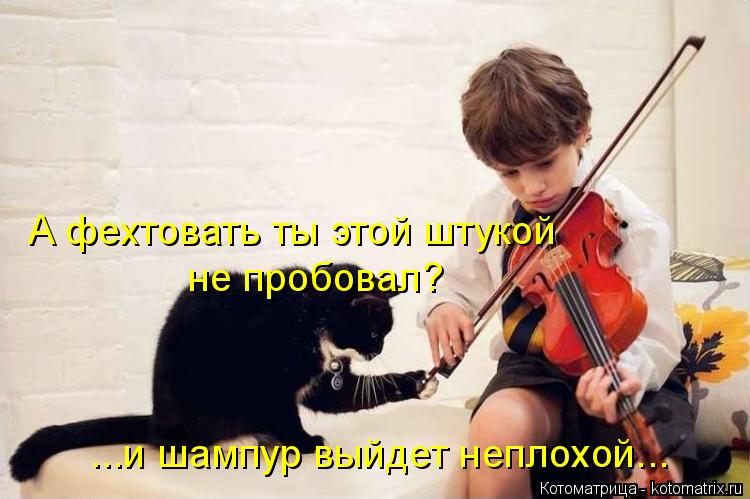 А фехтовать ты этой штукой не пробовал? ...и шампур выйдет неплохой...... Котоматрица: А фехтовать ты этой штукой не пробовал? ...и шампур выйдет неплохой...