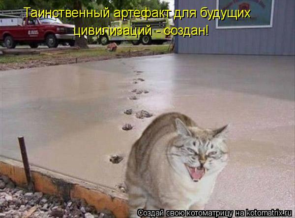 Таинственный артефакт для будущих цивилизаций - создан!... Котоматрица: Таинственный артефакт для будущих цивилизаций - создан!