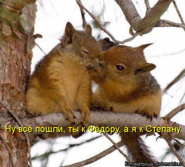 Ну всё пошли, ты к Фёдору, а я к Степану.... Котоматрица: Ну всё пошли, ты к Фёдору, а я к Степану.