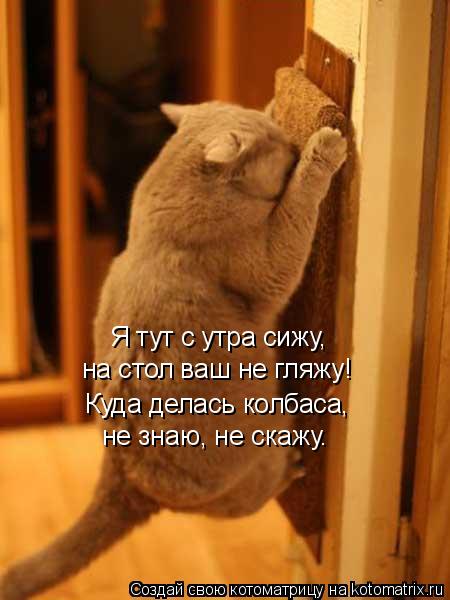 Я тут с утра сижу, на стол ваш не гляжу! Куда делась колбаса, не знаю, не скажу.... Котоматрица: Я тут с утра сижу, на стол ваш не гляжу! Куда делась колбаса, не знаю, не скажу.