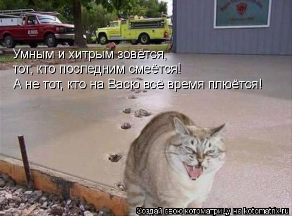 Умным и хитрым зовётся, тот, кто последним смеётся! А не тот, кто на Васю всё время плюётся!... Котоматрица: Умным и хитрым зовётся, тот, кто последним смеётся! А не тот, кто на Васю всё время плюётся!