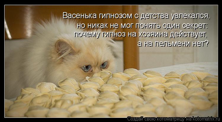 Васенька гипнозом с детства увлекался, но никак не мог понять один секрет: почему гипноз на хозяина д... Котоматрица: Васенька гипнозом с детства увлекался, но никак не мог понять один секрет: почему гипноз на хозяина действует, а на пельмени нет?