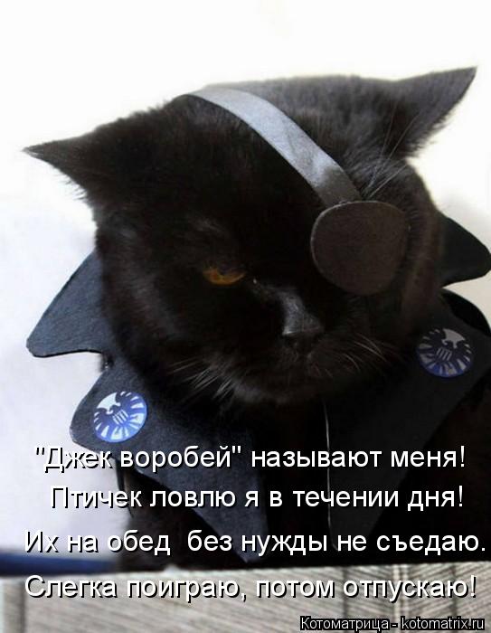 Птичек ловлю я в течении дня! "Джек воробей" называют меня! Слегка поиграю, потом отпускаю! Их на об... Котоматрица: Птичек ловлю я в течении дня! "Джек воробей" называют меня! Слегка поиграю, потом отпускаю! Их на обед без нужды не съедаю.