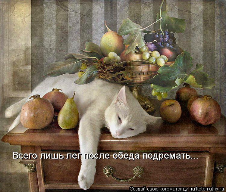 Всего лишь лег после обеда подремать...... Котоматрица: Всего лишь лег после обеда подремать...