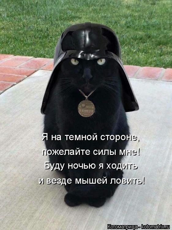 Буду ночью я ходить и везде мышей ловить! Я на темной стороне, пожелайте силы мне!... Котоматрица: Буду ночью я ходить и везде мышей ловить! Я на темной стороне, пожелайте силы мне!