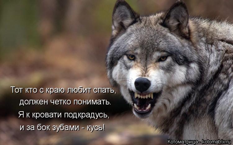 Котоматрица: Тот кто с краю любит спать, должен четко понимать. Я к кровати подкрадусь, и за бок зубами - кусь!