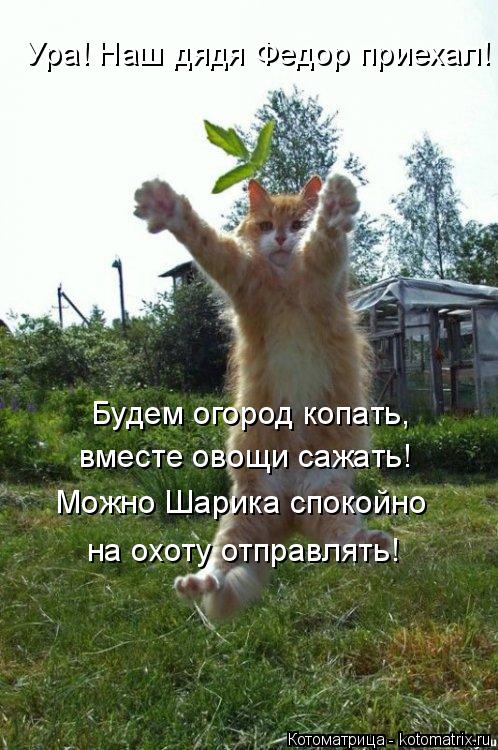 Котоматрица: Будем огород копать, вместе овощи сажать! Можно Шарика спокойно  на охоту отправлять! Ура! Наш дядя Федор приехал!