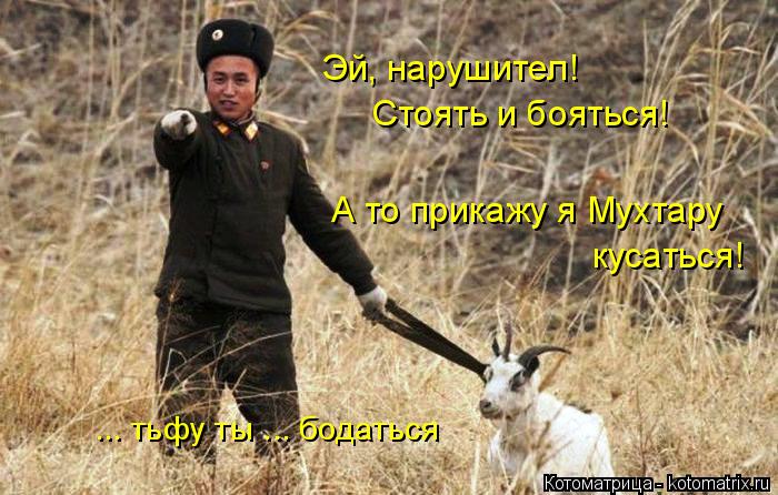 Эй, нарушител! Стоять и бояться! А то прикажу я Мухтару кусаться! ... тьфу ты ... бодаться... Котоматрица: Эй, нарушител! Стоять и бояться! А то прикажу я Мухтару кусаться! ... тьфу ты ... бодаться