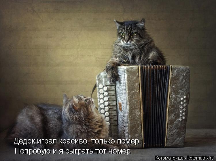 Котоматрица: Дедок играл красиво, только помер... Попробую и я сыграть тот номер