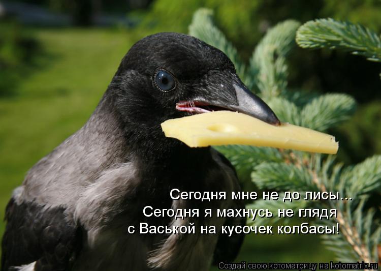 Котоматрица: Сегодня мне не до лисы... Сегодня я махнусь не глядя с Васькой на кусочек колбасы!