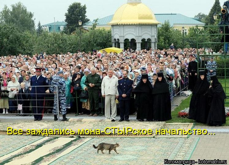 Все заждались мона-СТЫРское начальство...... Котоматрица: Все заждались мона-СТЫРское начальство...
