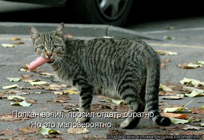 Полкан вопил, просил отдать обратно Но это маловероятно...... Котоматрица: Полкан вопил, просил отдать обратно Но это маловероятно...