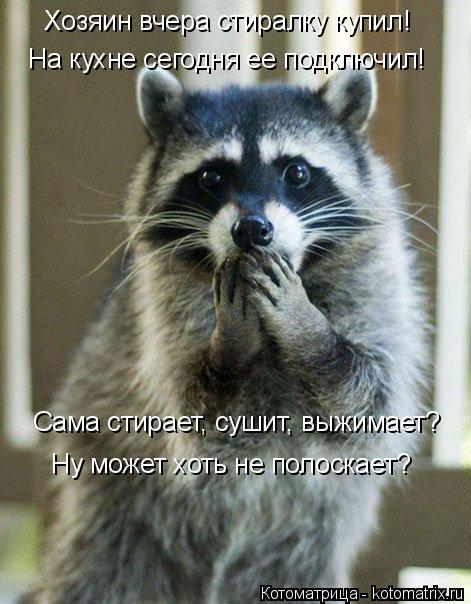 Котоматрица: Сама стирает, сушит, выжимает? Ну может хоть не полоскает? Хозяин вчера стиралку купил! На кухне сегодня ее подключил!