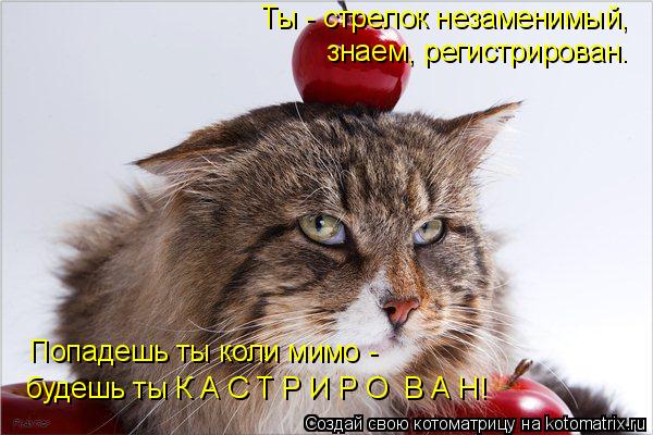Котоматрица: Ты - стрелок незаменимый,  знаем, регистрирован. Попадешь ты коли мимо -  будешь ты К А С Т Р И Р О  В А Н!