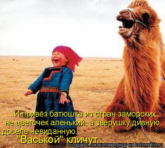 ...И привёз батюшка из стран заморских не цветочек аленький, а зверушку дивную, доселе невиданную. "... Котоматрица: ...И привёз батюшка из стран заморских не цветочек аленький, а зверушку дивную, доселе невиданную. "Васькой" кличут...