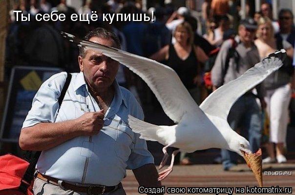 Ты себе ещё купишь!... Котоматрица: Ты себе ещё купишь!