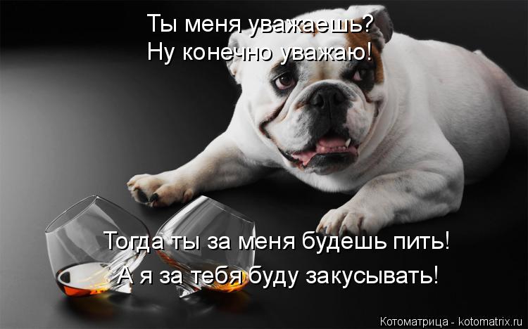 Ты меня уважаешь? Ну конечно уважаю! Тогда ты за меня будешь пить! А я за тебя буду закусывать!... Котоматрица: Ты меня уважаешь? Ну конечно уважаю! Тогда ты за меня будешь пить! А я за тебя буду закусывать!