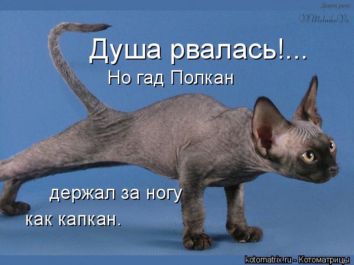 Но гад Полкан держал за ногу как капкан. Душа рвалась!...... Котоматрица: Но гад Полкан держал за ногу как капкан. Душа рвалась!...
