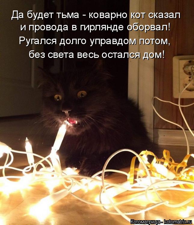 Да будет тьма - коварно кот сказал и провода в гирлянде оборвал! Ругался долго управдом потом, без св... Котоматрица: Да будет тьма - коварно кот сказал и провода в гирлянде оборвал! Ругался долго управдом потом, без света весь остался дом!