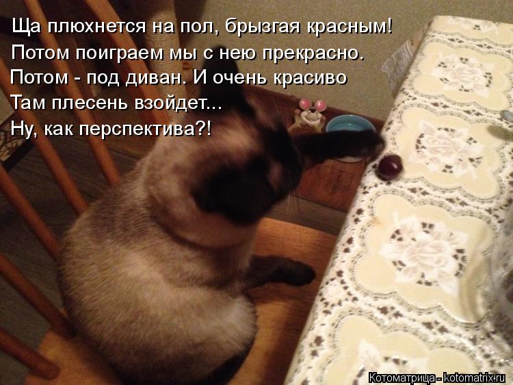 Ща плюхнется на пол, брызгая красным! Потом поиграем мы с нею прекрасно. Потом - под диван. И очень к... Котоматрица: Ща плюхнется на пол, брызгая красным! Потом поиграем мы с нею прекрасно. Потом - под диван. И очень красиво Там плесень взойдет... Ну, как персп