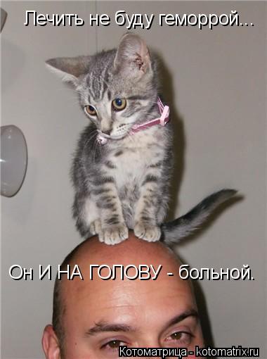 Лечить не буду геморрой... Он И НА ГОЛОВУ - больной.... Котоматрица: Лечить не буду геморрой... Он И НА ГОЛОВУ - больной.