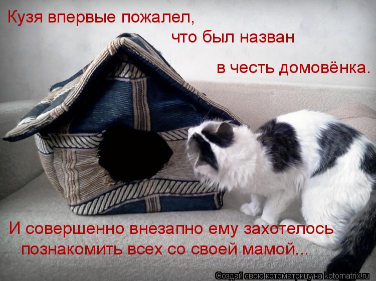 Кузя впервые пожалел, что был назван в честь домовёнка. И совершенно внезапно ему захотелось познаком... Котоматрица: Кузя впервые пожалел, что был назван в честь домовёнка. И совершенно внезапно ему захотелось познакомить всех со своей мамой...