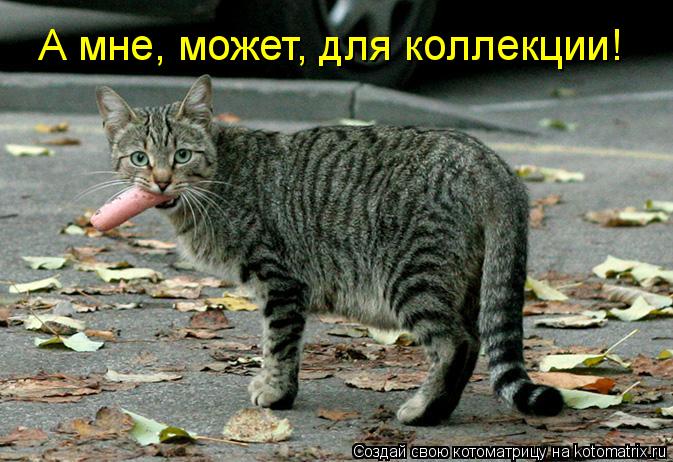А мне, может, для коллекции!... Котоматрица: А мне, может, для коллекции!