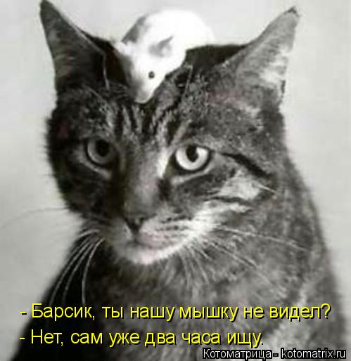 - Барсик, ты нашу мышку не видел? - Нет, сам уже два часа ищу.... Котоматрица: - Барсик, ты нашу мышку не видел? - Нет, сам уже два часа ищу.