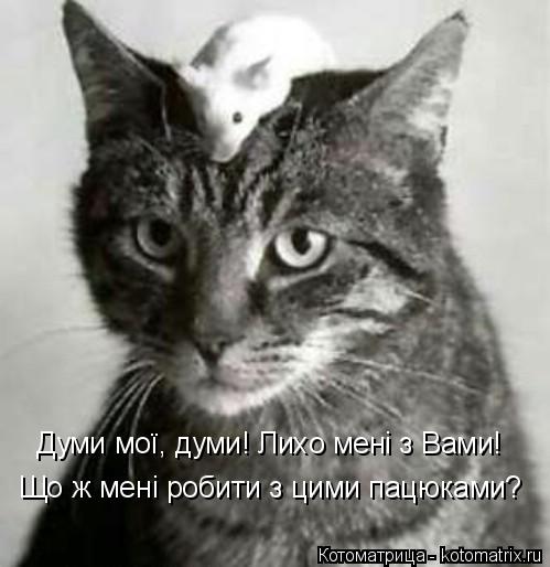 Думи мої, думи! Лихо мені з Вами! Що ж мені робити з цими пацюками?... Котоматрица: Думи мої, думи! Лихо мені з Вами! Що ж мені робити з цими пацюками?