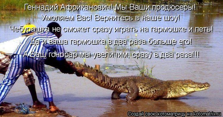 Котоматрица: Геннадий Африканович! Мы Ваши продюсеры! Умоляем Вас! Вернитесь в наше шоу! Чебурашка не сможет сразу играть на гармошке и петь! Да и ваша га?
